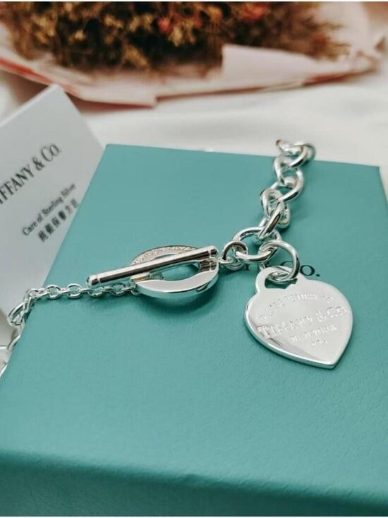 1748645660287-  Tiffany & Co Sterling Silver Circle Pendant Necklace – Modern